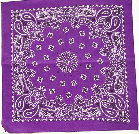 #114 Purple Paisley Bandana