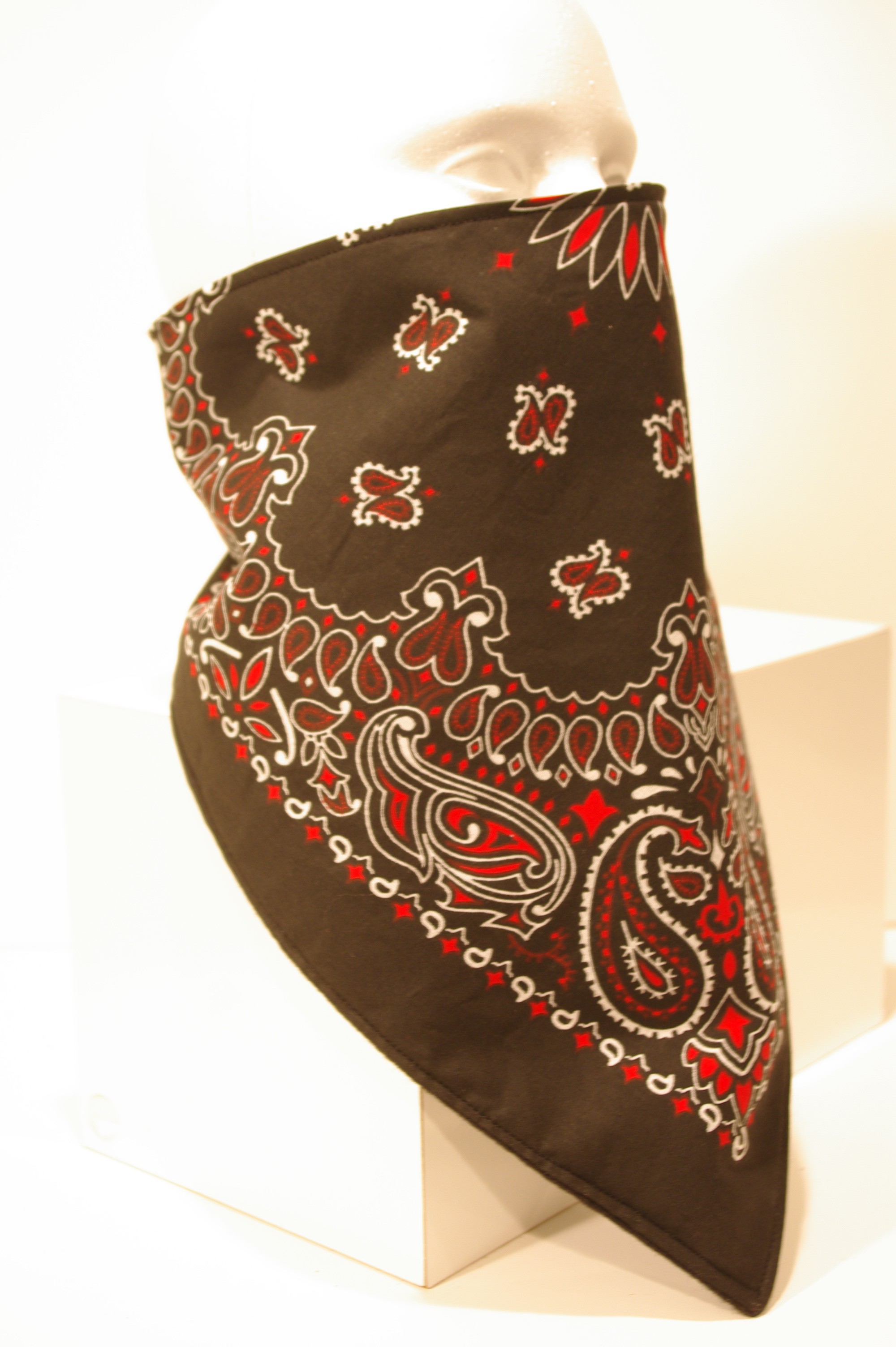 #119 Red Black Paisley