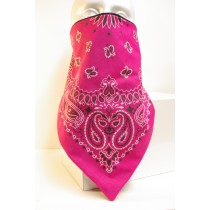 #015 Hot Pink Paisley bandana