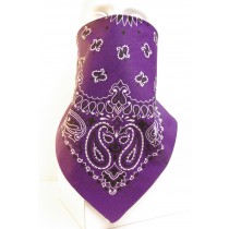 #114 Purple Paisley