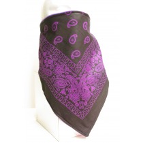 #214 Purple Paisley on black